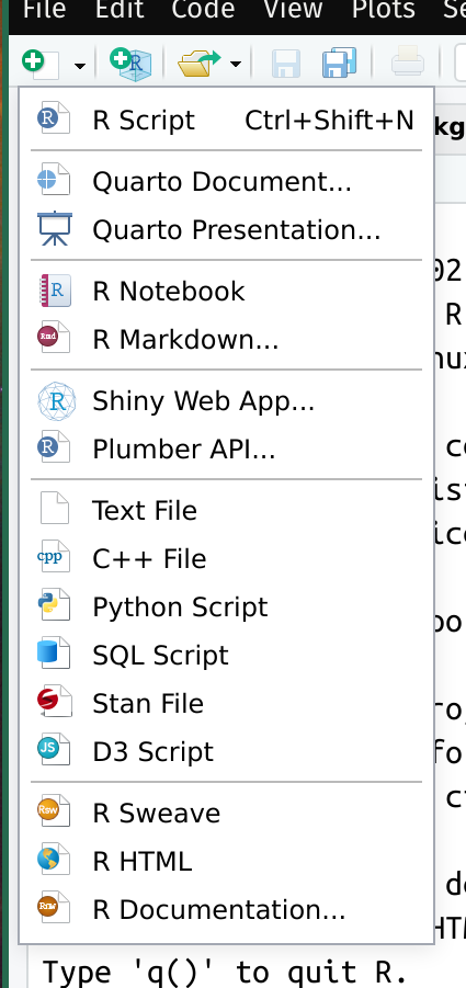 The drop-down menu when the add new file is chosen. The different types of files are displayed that can be chosen.